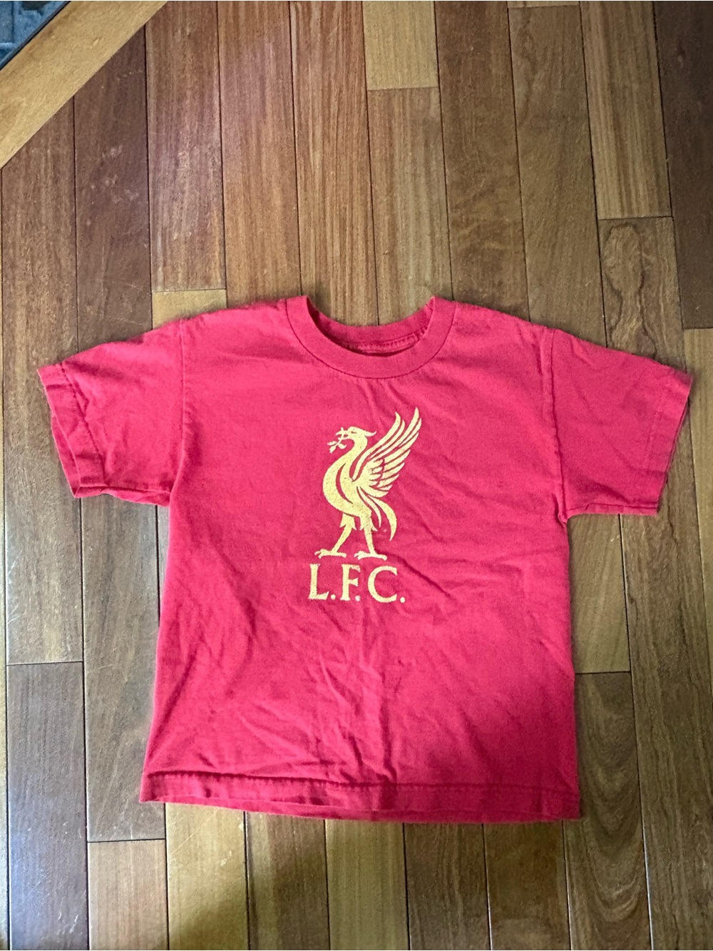 Unisex Liverpool Football Club LFC Red Graphic Short-Sleeve Tee
